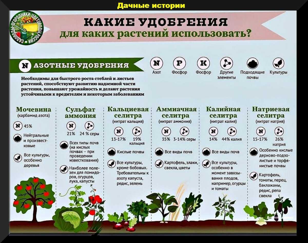 Изменчивость важнейших хозяйственно-ценных показателей семян яровой сурепицы при репродуцировании и ее использование в селекционно-семеноводческом процессе  суворова юлия николаевна