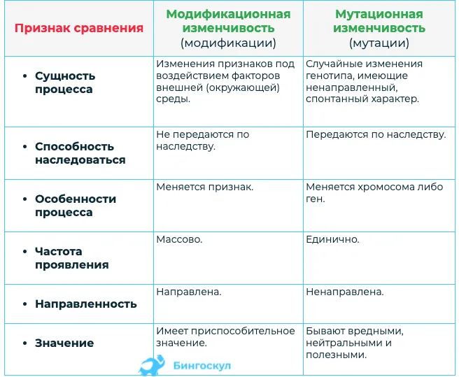 Закономерности изменчивости | дистанционные уроки