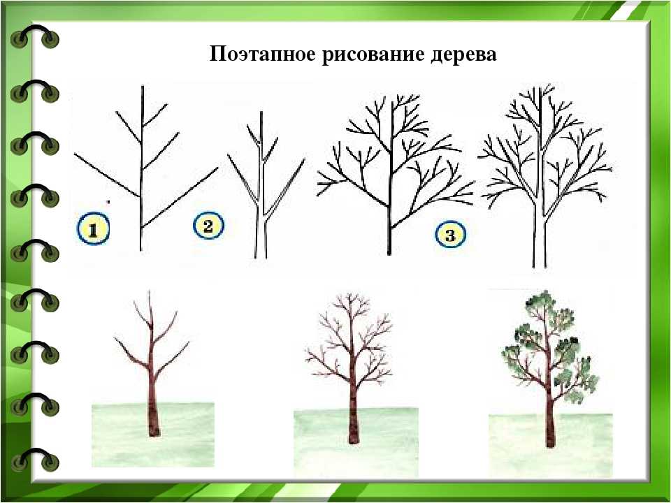 Нарисованное дерево без листьев: рисунок дерева без листьев для детей эскиз распечатать