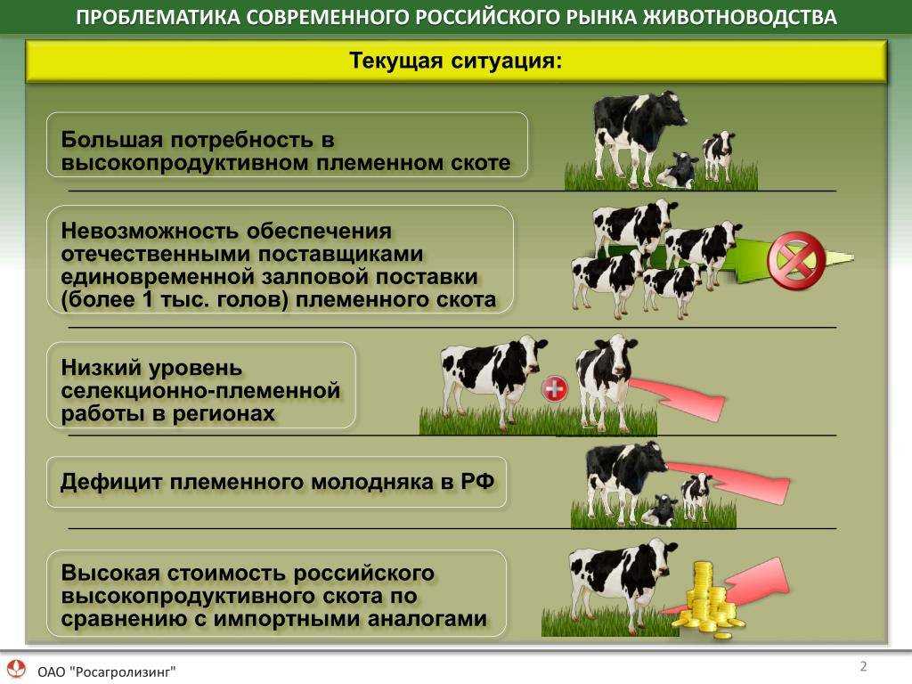 Гост р 56392-2015: услуги для непродуктивных животных. разведение непродуктивных животных. общие требования