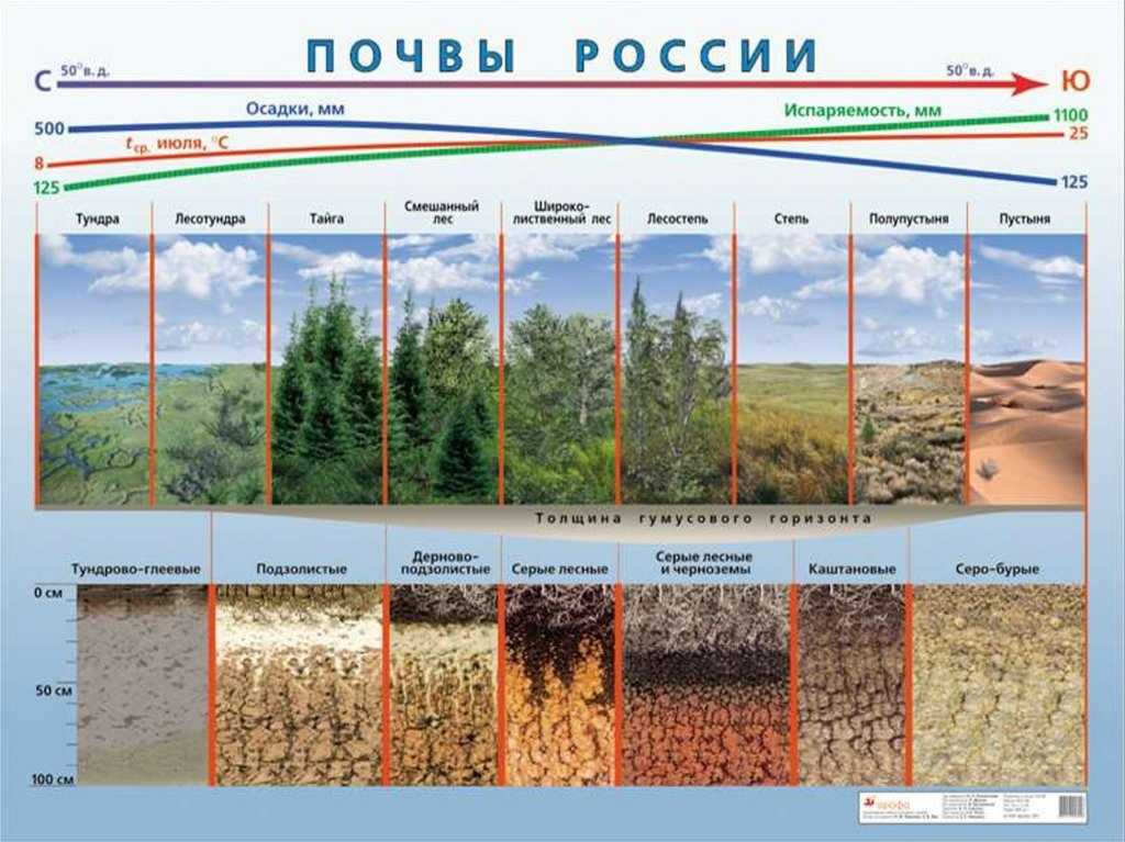 Тепловые свойства и тепловой режим почв - основные виды