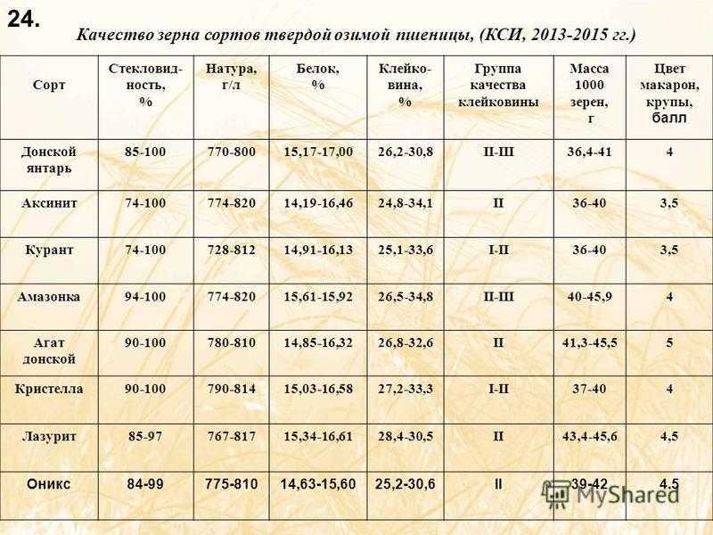 Методика определения натуры зерна кратко