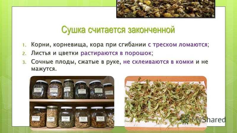 Гост 14161-86семена хвойных древесных пород. посевные качества. технические условия