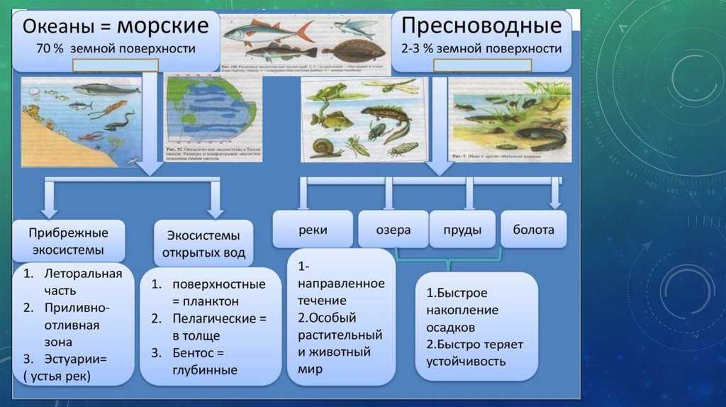 Пресноводные экосистемы