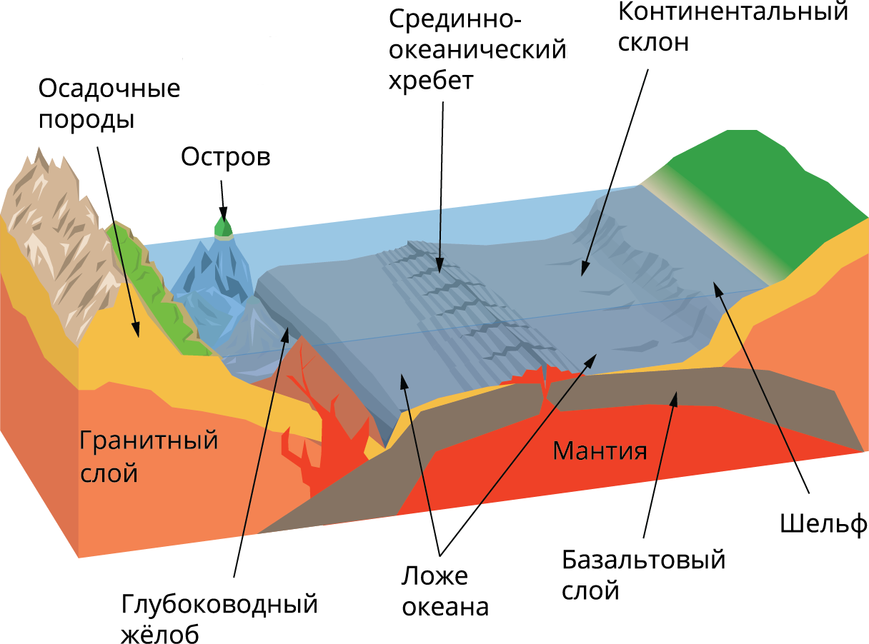 Геологическая деятельность океанов и морей