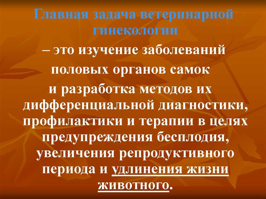 История и развитие ветеринарии в россии и мире