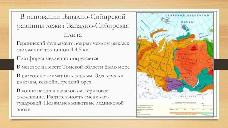 Западно-сибирская ⭐ равнина: описание, история формирования, природные зоны, общие характеристики