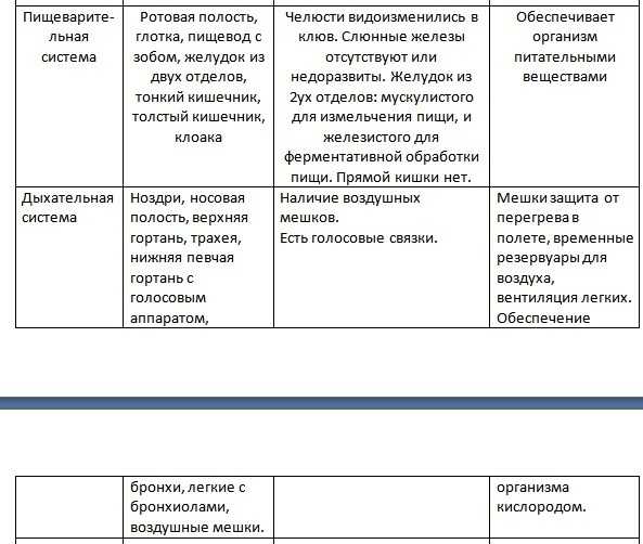 Что нужно знать о классе птицы — основные сведения по биологии