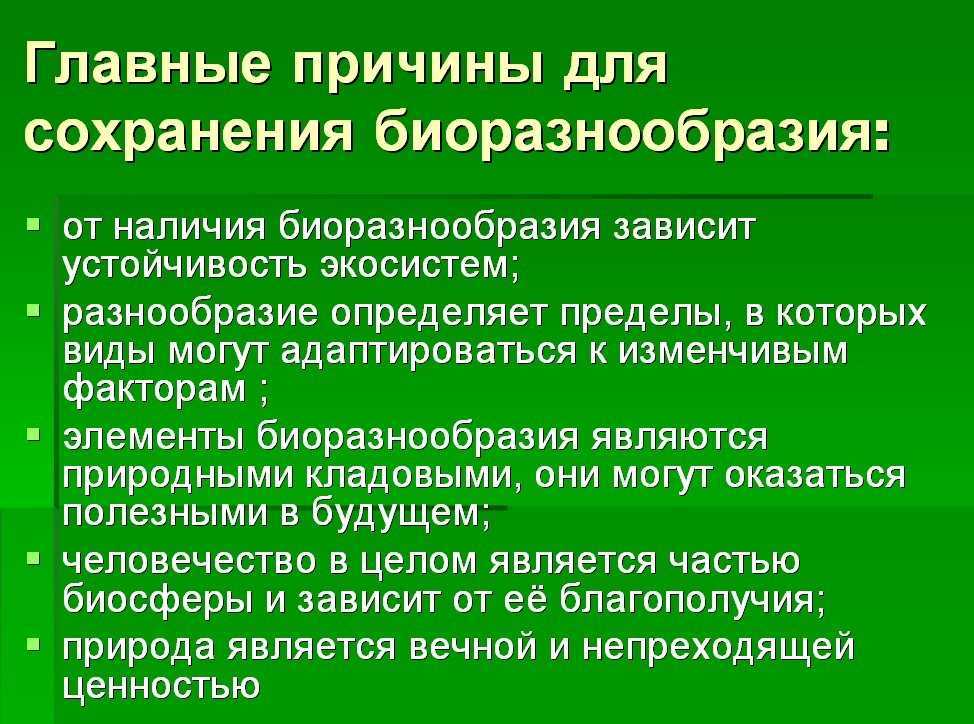 Влияет ли на всхожесть длительное хранение семян на примере сосны кедровой (pi-nus sibirica) и сосны корейской (pinus koraiensis)