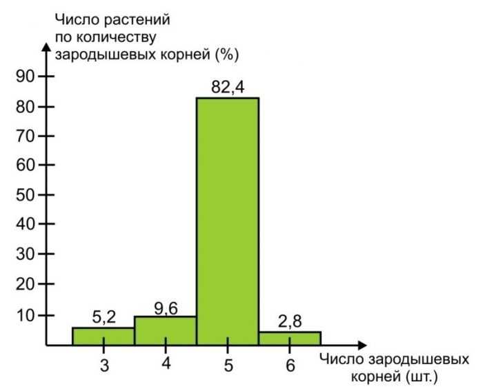 Сколько весит одно зерно пшеницы? - стройка от а до я