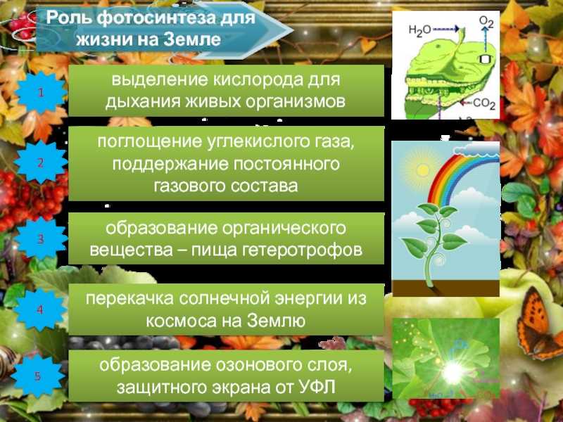 В.п. скулачев, "кислород в живой клетке : добро и зло"