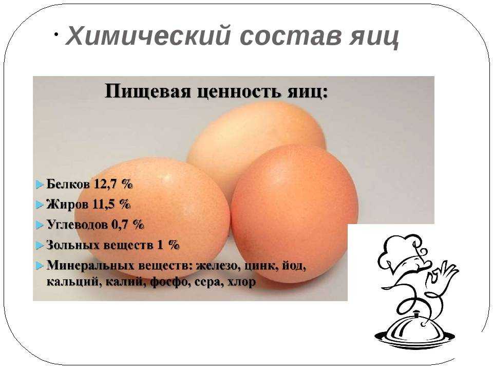 Химический состав куриного яйца и его свойства
