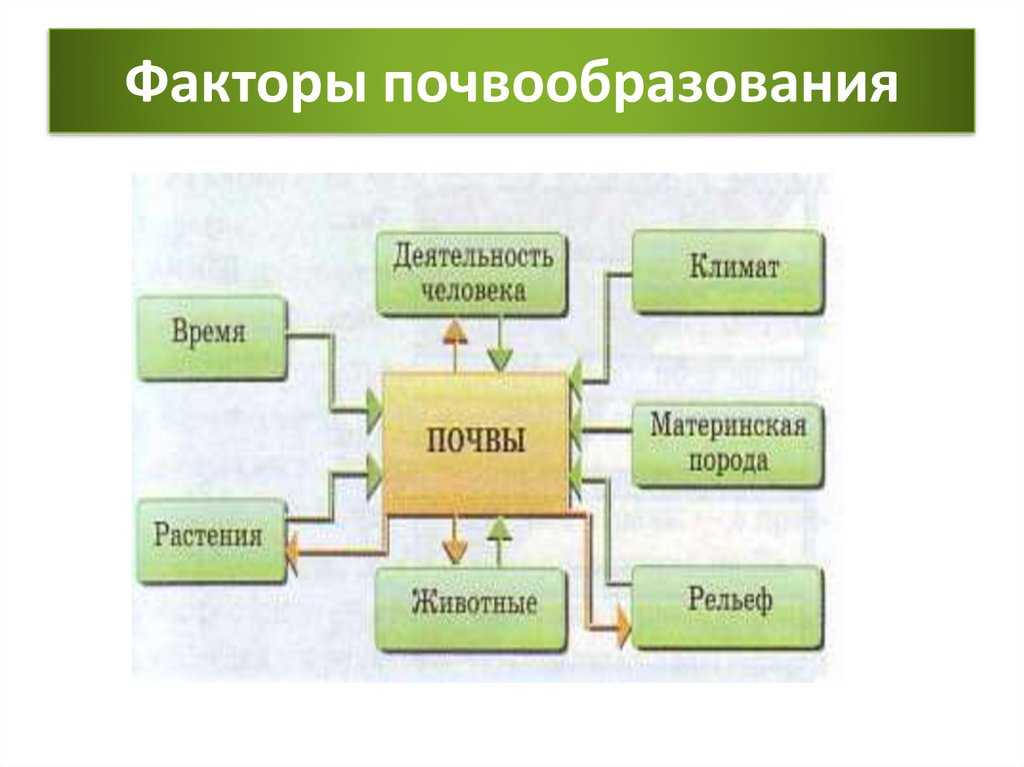 Онвбннапюгнбюмхе - щмжхйкноедхъ - тнмд гмюмхи ╚кнлнмнянб╩