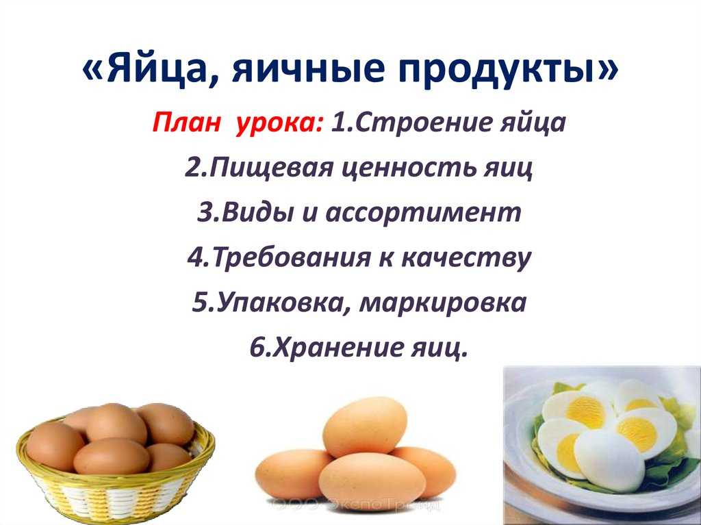 Эмбриональное развитие птиц  - всё для чайников