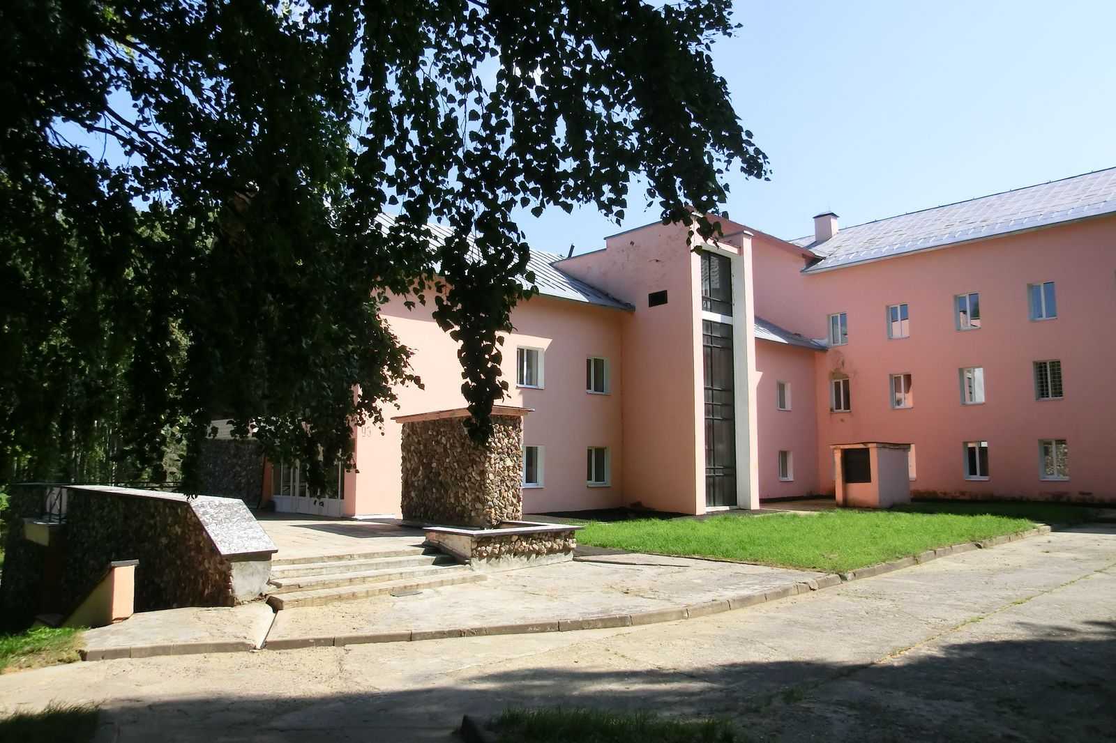 Коловратка аспланхна (asplanchna)