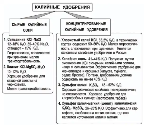 О калийных удобрениях подробно. описания, разновидности, названия — ботаничка