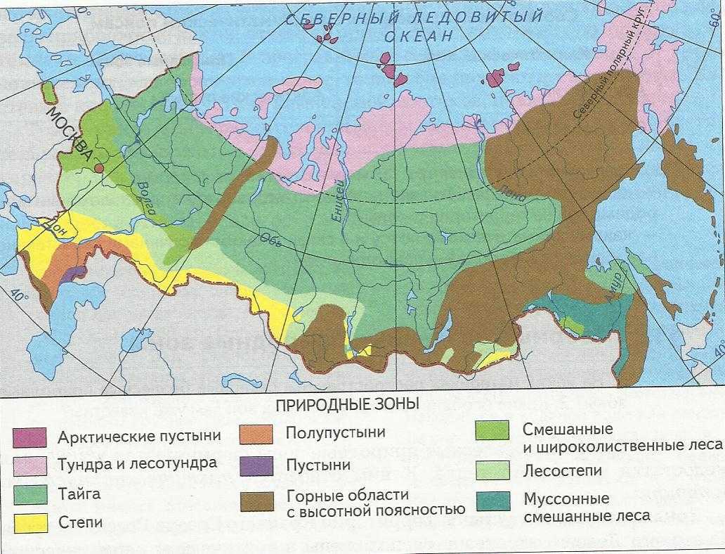 Что такое широтная зональность и высотная поясность, в чем они выражаются, примеры