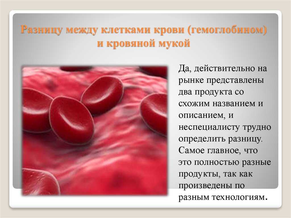 Переработка крови