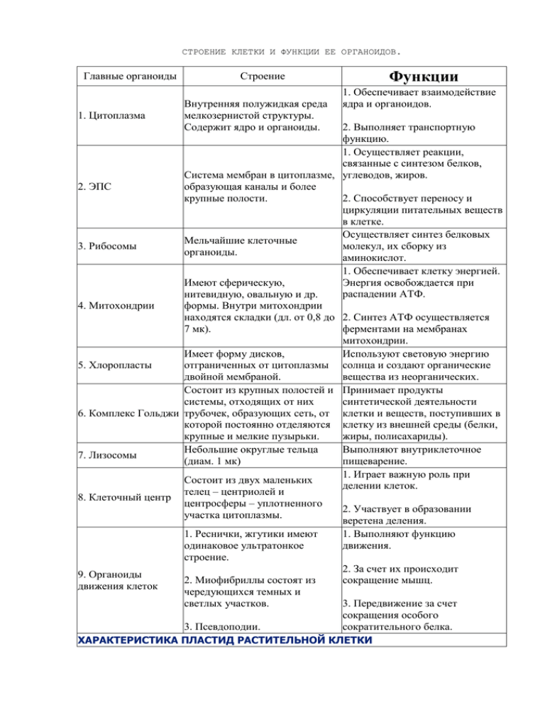 Клеточная теория: создатели, основные положения, значение