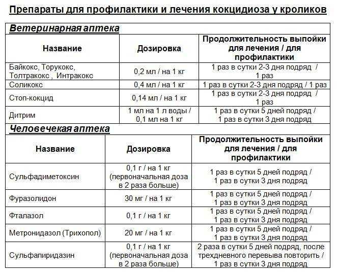 Схема пропойки цыплят-бройлеров антибиотиками и витаминами, рекомендуемые препараты
