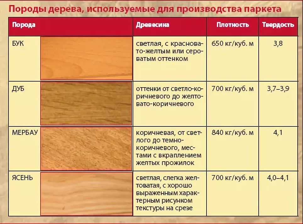 Болезни и вредители дуба