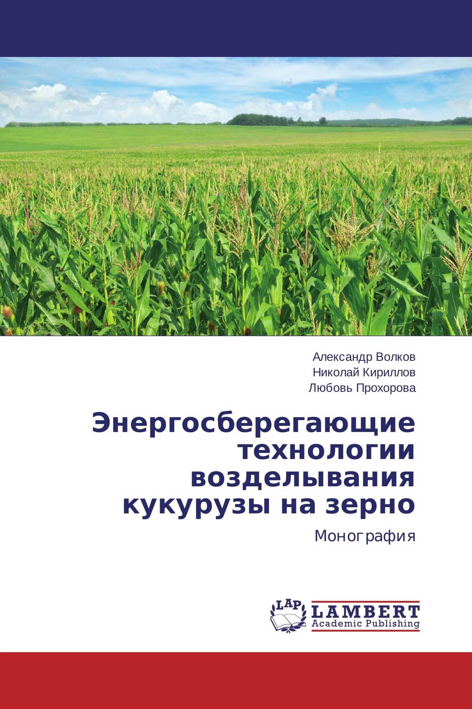 Система обработки почвы под кукурузу: методы и правила предпосевной процедуры