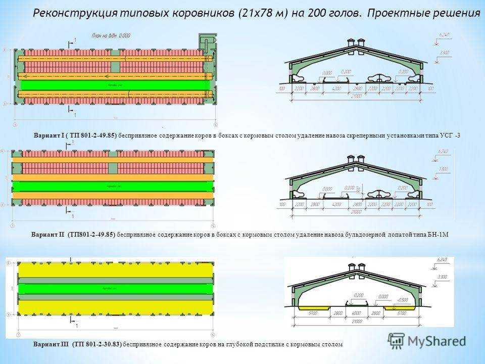 Как привязать корову в стойле