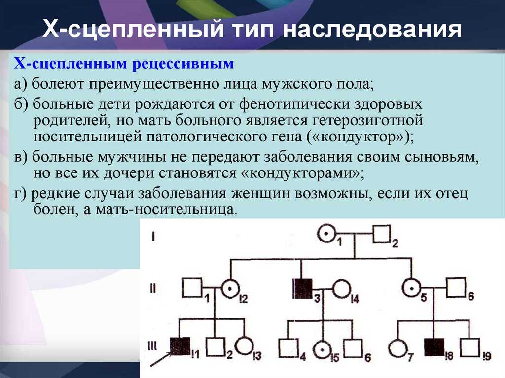 Наследование ⭐️ признаков, сцепленных с полом: характеристика, особенности, типы наследования