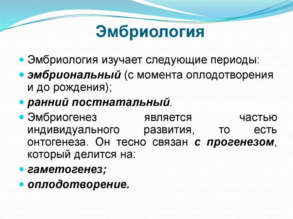 История развития вычислительной техники - механический этап - леонардо да винчи