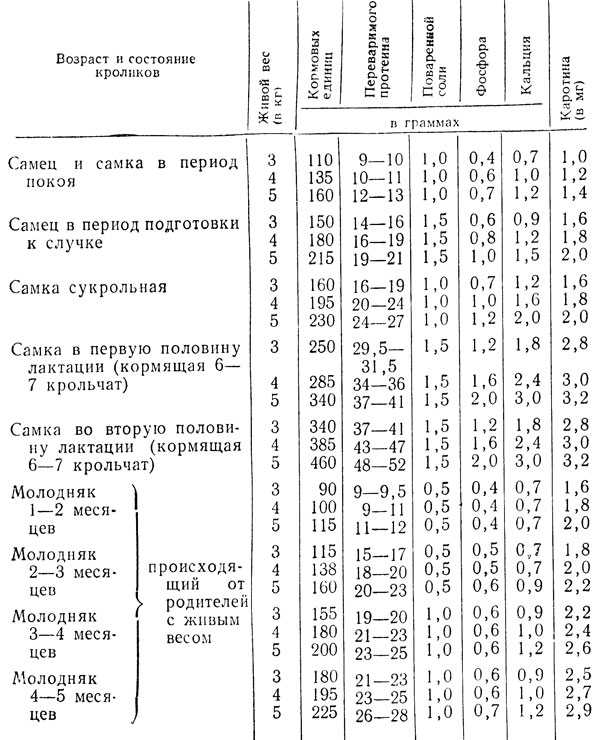 Кормление кроликов презентация, доклад, проект