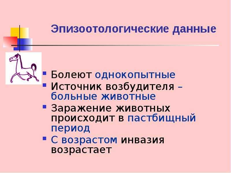 Реферат: оксиуроз лошадей