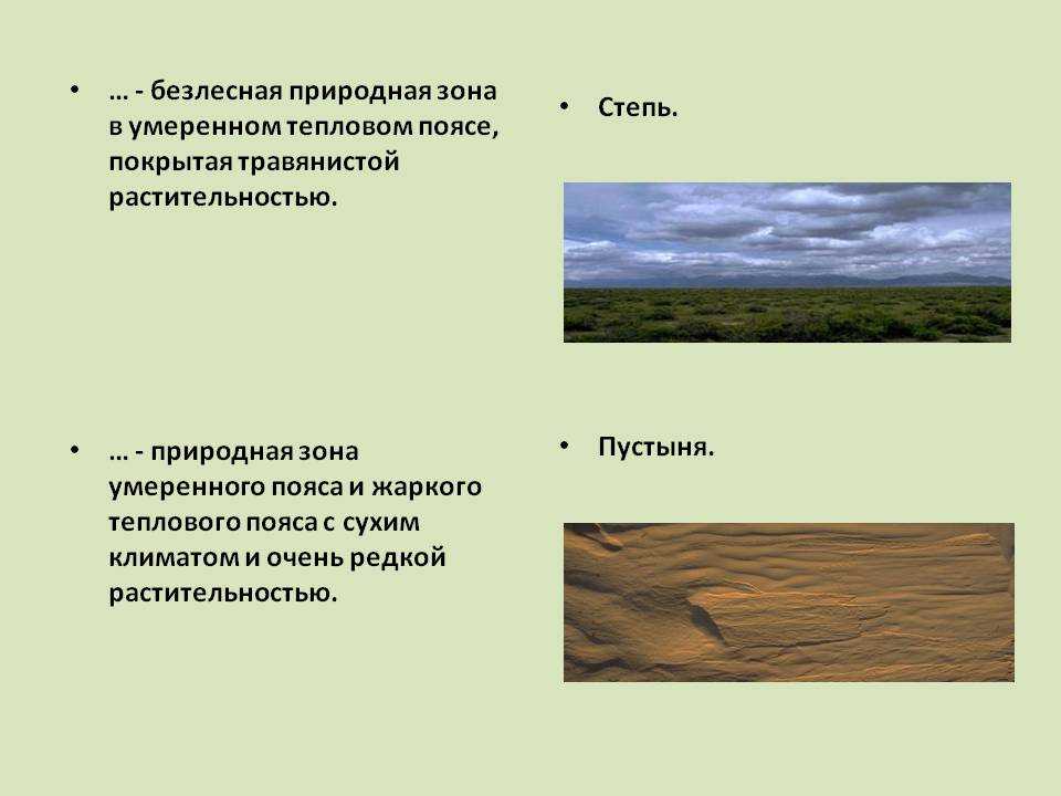 Естественная (природная) экосистема - характеристика, примеры и отличия — природа мира