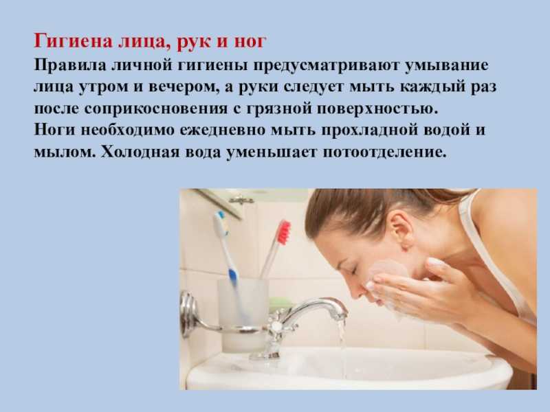 Содержание быков производителей | кормление быков | нормы кормления