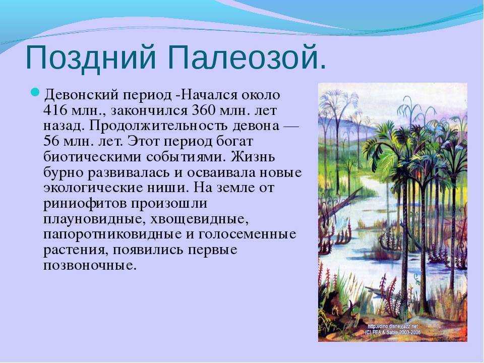 От воды к суше: загадки эволюции живых организмов на суше