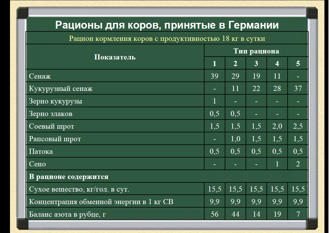 Кукуруза на корм скоту