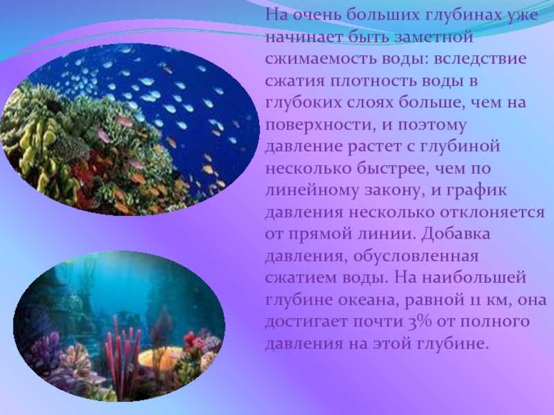 Основные свойства водной среды - чернова н.м., былова а.м. общая экология. учебник