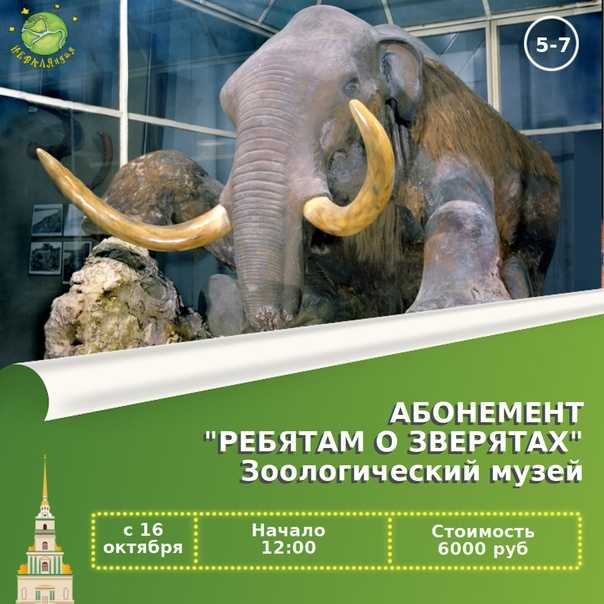 Кукушка