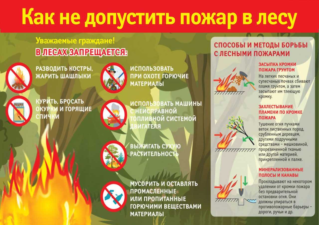 Что происходит с рыбой в процессе копчения кратко
