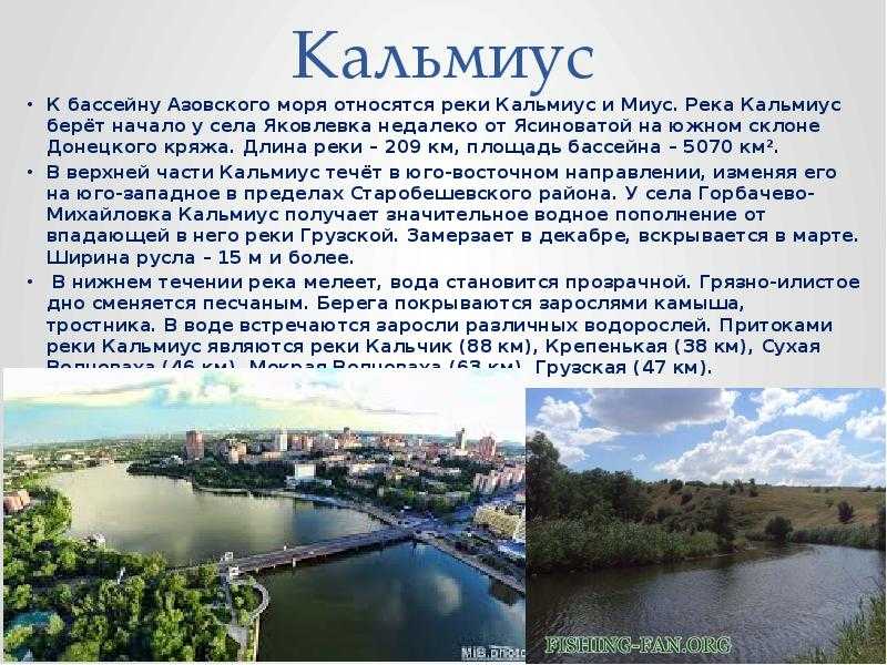 Водные ресурсы донецкой области реферат