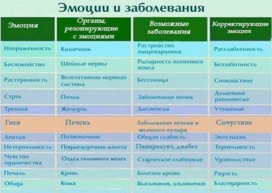 Степи россии. хозяйственная деятельность человека в природных зонах хозяйственная деятельность человека в степях
