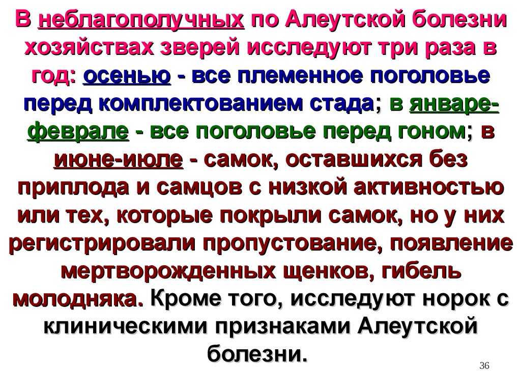 Совершенствование лабораторной диагностики алеутской болезни норок - автореферат диссертации по ветеринарии скачать бесплатно на тему 'ветеринарная эпизоотология, микология с микотоксикологией и иммунология', специальность вак рф 16.00.03