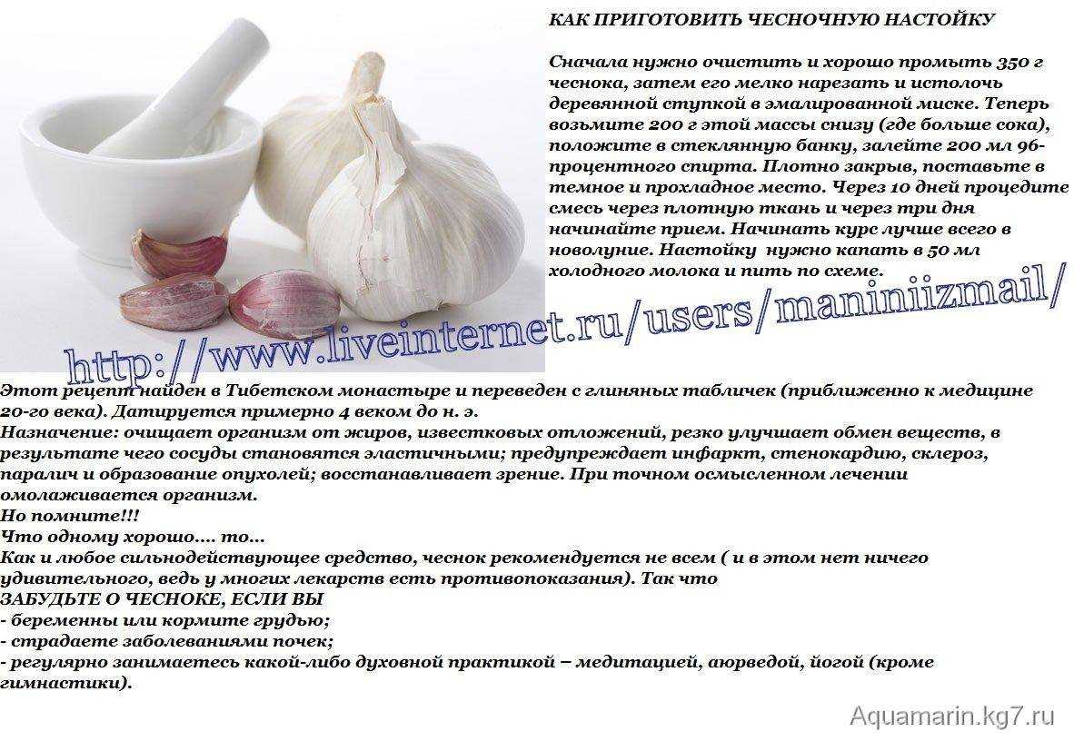 Чем отличается лук и чеснок, строение, развитие