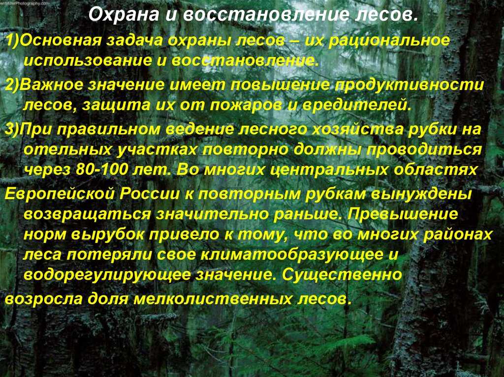 К особо защитным участкам лесов относятся. группы лесов и категории защитности лесов первой группы
