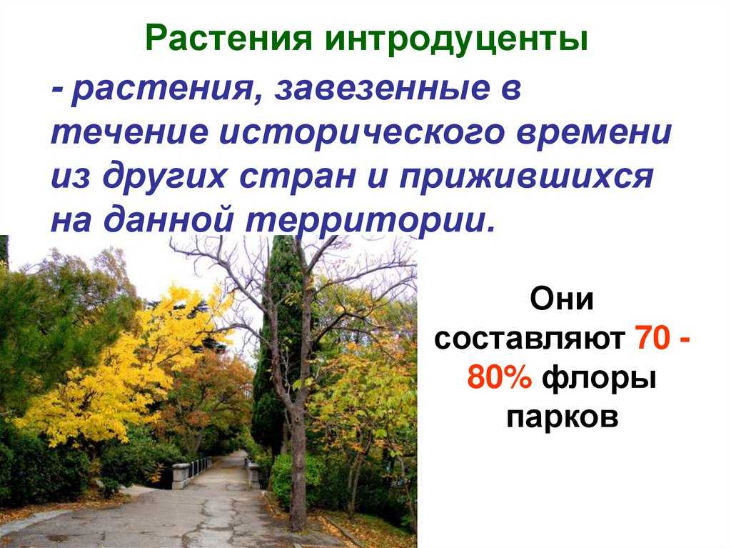 Реферат - центры происхождения культурных растений и их многообразие - скачать бесплатно