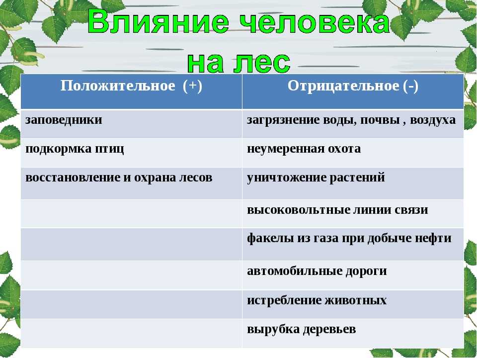 Антропогенные факторы