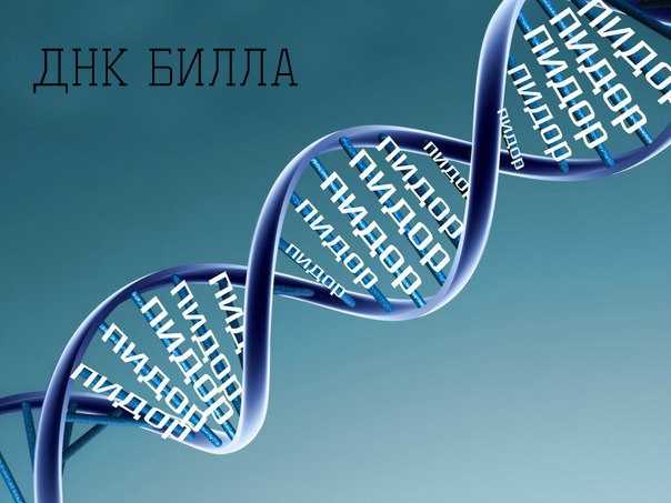 14.2. дифференциация пола. генетика человека с основами общей генетики [учебное пособие]