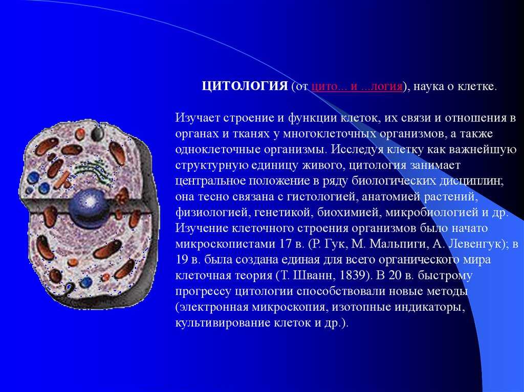 Ученый грю биология. описание растительной клетки и ткани р.гуком (1665), м.мальпиги (1671) и н.грю (1671). работы неемии грю