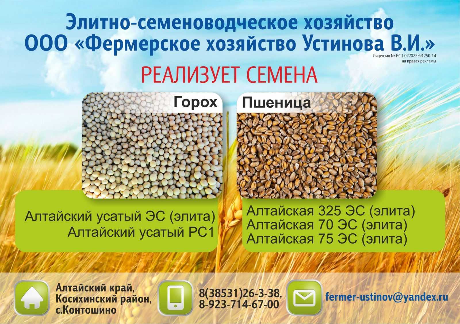 Селекция. биотехнология. | егэ по биологии