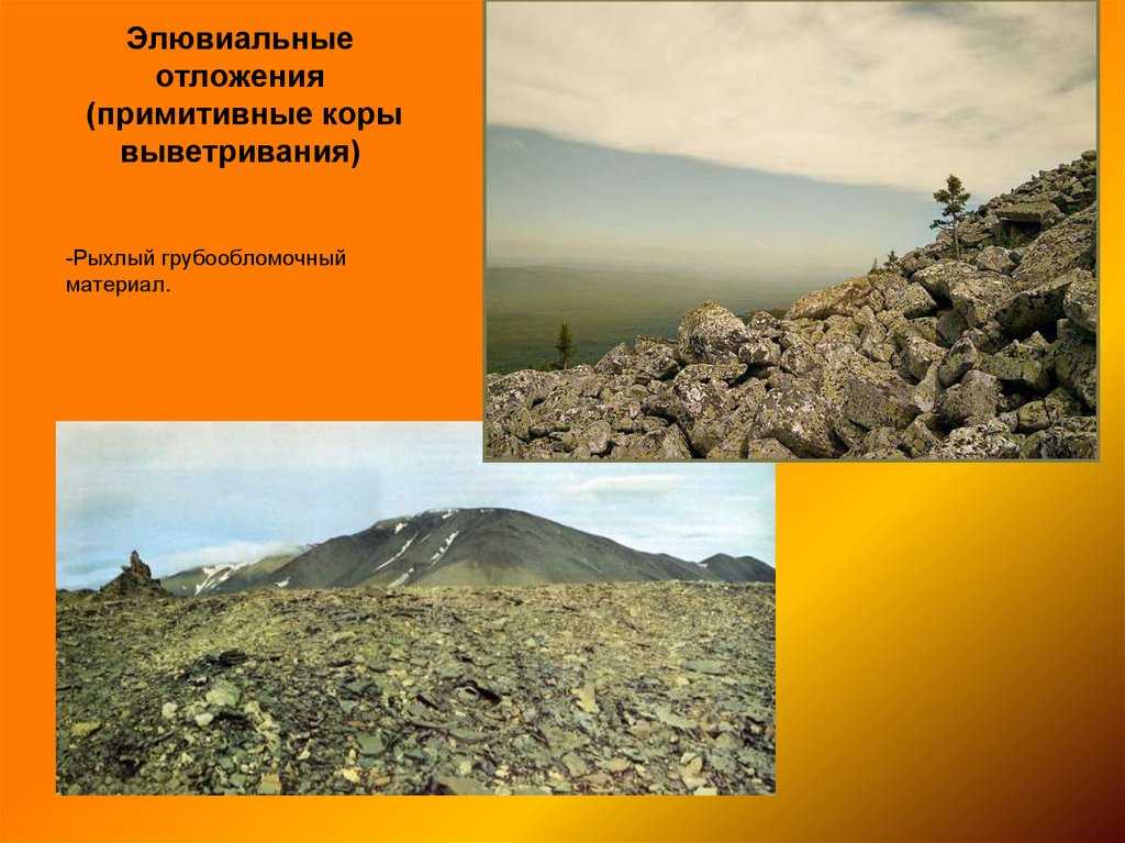 Экология