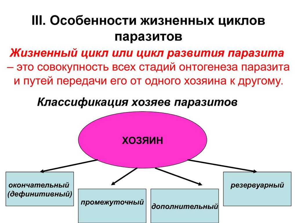 Жизненные циклы паразитов: виды, классификация, смена хозяев | признаки, лечение и диагностика вгкб № 2